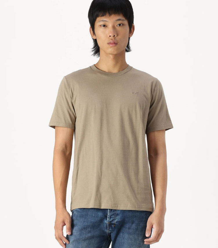 HOLLISTER SOLID BASIC TIMBER WOLF T SHIRT