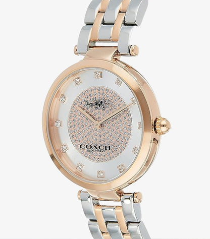 COACH PARK TWO-TONE STAINLESS STEEL SILVER DIAL QUARTZ WATCH- 14503644
