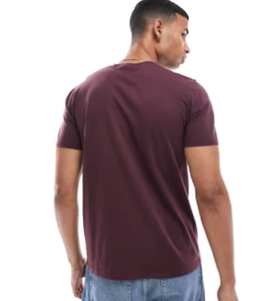 HOLLISTER ICON LOGO T SHIRT