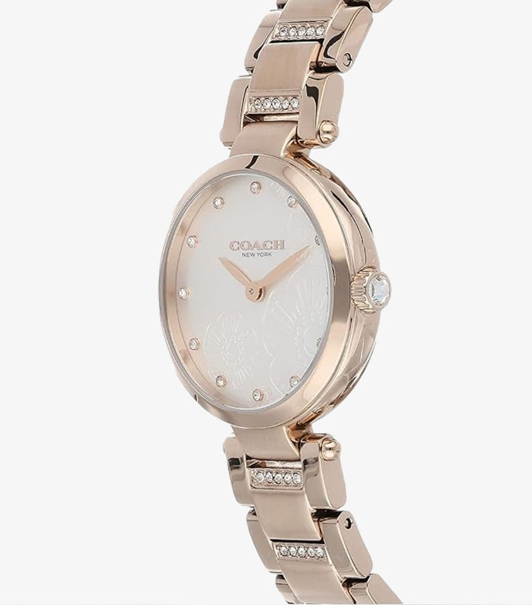 COACH PARK WATCH 14503626