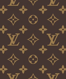 LV BAG ADVANCE