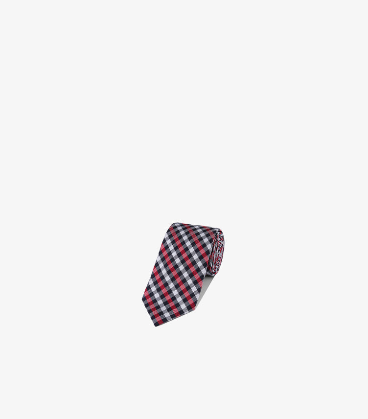 U.S. POLO ASSN. CHECKERED TIE & POCKET SQUARE SET